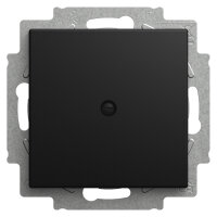 BUSCH JAEGER BJ 2538-915 Blindzentralscheibe mit Tragring...