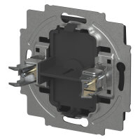 BUSCH JAEGER BJ 2538-915 Blindzentralscheibe mit Tragring Busch-balance® SI