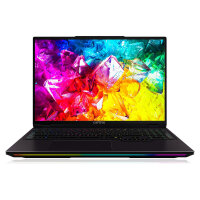 Captiva Notebook Highend Gaming R95-065GE 32GB/1TB SSD RTX5080 Win 11