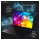 Captiva Notebook Highend Gaming R95-065GE 32GB/1TB SSD RTX5080 Win 11