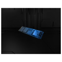 M.2 8TB Kingston PCI-E NVMe Gen5 FURY Renegade