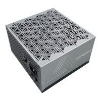 1050W Montech CENTURY II 1050 (silber, 1x 12-Pin High Power GPU, 6x PCIe, Kabelmanagement, 1050 Watt)