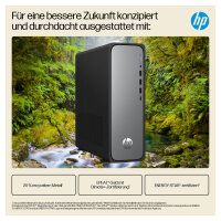 HP OmniDesk Slim S03-0412ng Intel 300 8GB/512GB SSD Windows 11 schwarz