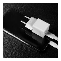 LINDY USB Typ C PD Charger 20W