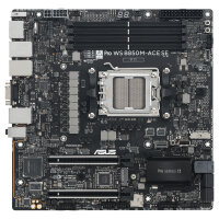 MB ASUS PRO WS B850M-ACE SE