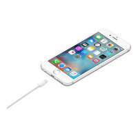 Apple Lightning - USB Kabel 1M Retail