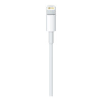 Apple Lightning - USB Kabel 1M Retail