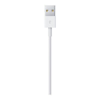 Apple Lightning - USB Kabel 1M Retail