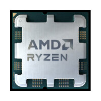 AMD Ryzen 5 8600G 5.05GHz AM5 22MB Cache Tray
