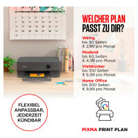 T Canon PIXMA TS5351i Tinte-Multifunktionssystem 3in1 WLAN Duplex Weiß