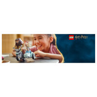 LEGO Harry Potter Hagrids und Harrys Motorradtour 76443