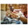 LEGO Harry Potter Hagrids und Harrys Motorradtour 76443