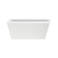 Philips Hue White & Color Ambiance Datura 600x600mm