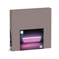 Philips Hue White & Color Ambiance Datura 600x600mm