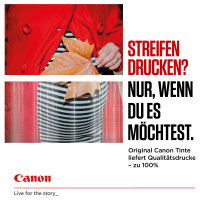 Canon Tinte CLI-36 1511B001 Color 2er Pack