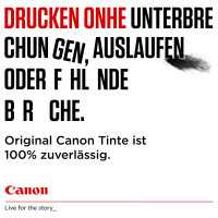Canon Tinte PGI-35 1509B028 Schwarz 3er Pack