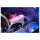 KINGSTON 64GB 6400MT/s DDR5 CL32 DIMM Kit of 2 FURY Beast White RGB EXPO