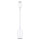 APPLE USB-C to USB Adapter