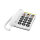 Doro PhoneEasy 331ph white