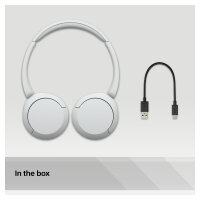 Sony WH-CH520W wei