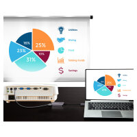 ATEN UC3008A1 USB-C auf HDMI Adapter 0.3m
