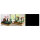LEGO 10359 Icons Springbrunnengarten