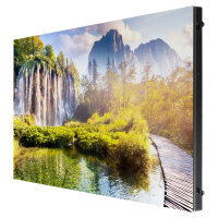 SAMSUNG DS IE015A 640x360 Pixel 6000:1