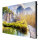 SAMSUNG DS IE015A 640x360 Pixel 6000:1