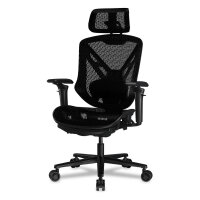 COUGAR Gaming/Office-Stuhl Speeder, Mesh, Schwarz