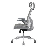 COUGAR Gaming/Office-Stuhl Speeder One, Mesh, Weiß