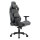 COUGAR Gaming-Stuhl Defensor S Jet Gray F