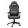 COUGAR Gaming-Stuhl Explore Royal Gray F