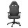 COUGAR Gaming-Stuhl Explore Royal Gray F