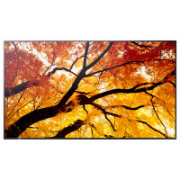 Sharp MultiSync M502 Digital Signage Display 125,7 cm 50...