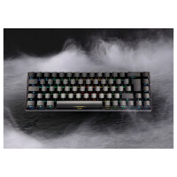 Deltaco DK440R Gaming Tastatur kabellos, Schwarz