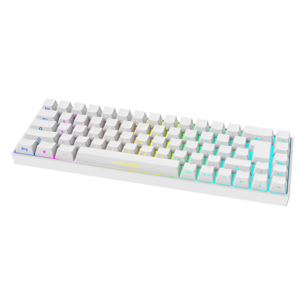 Deltaco Gaming Tastatur WK95R wireless, RGB, weiß