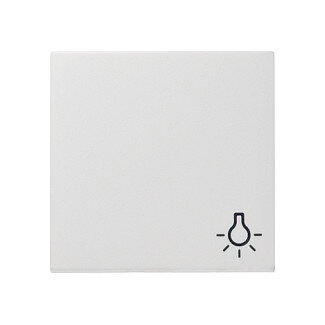 GIRA 028503 Wippe Licht reinweiß System 55