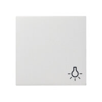 GIRA 028503 Wippe Licht reinweiß System 55