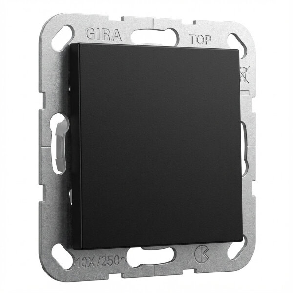 GIRA 0268005 Blindabd. Tragring System 55 Schwarz