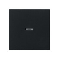 GIRA 0290005 Wippe Kontrollf. System 55 Schwarz