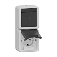 GIRA 417630 Kombi AusWe/SCHUKO senkr. KD WG AP Grau