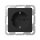 GIRA 4188005 SCHUKO System 55 Schwarz m