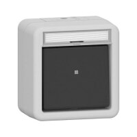 GIRA 315630 Wipptaster Wechsler BSF WG AP Grau