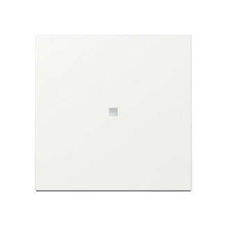 GIRA 329003 Wippe Kontrollf. System 55 Reinweiß
