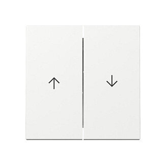 GIRA 329403 Wippe 2f Pfeil System 55 Reinweiß