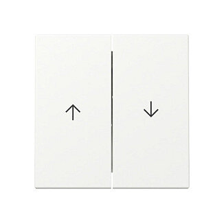 GIRA 329427 Wippe 2f Pfeil System 55 Reinweiß m