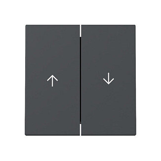 GIRA 329428 Wippe 2f Pfeil System 55 Anthrazit