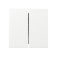 GIRA 329503 Wippe 2f System 55 Reinweiß