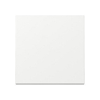 GIRA 329603 Wippe System 55 Reinweiß