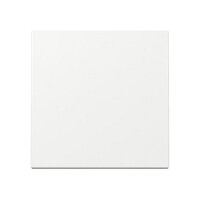 GIRA 329603 Wippe System 55 Reinweiß